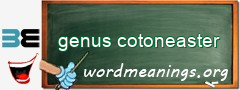 WordMeaning blackboard for genus cotoneaster